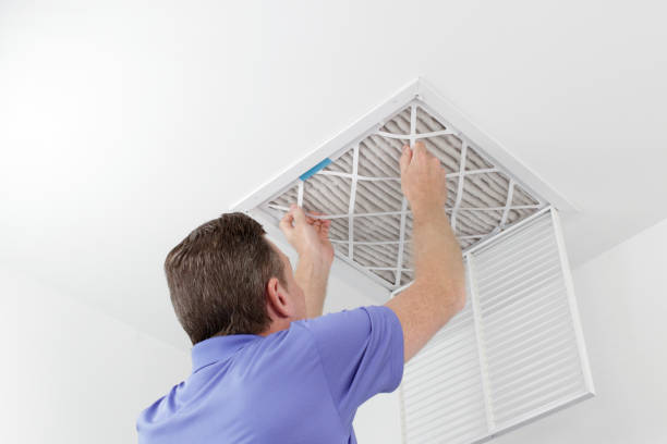 Best Air Duct Cleaning Company Near Me  in Ridgely, MD